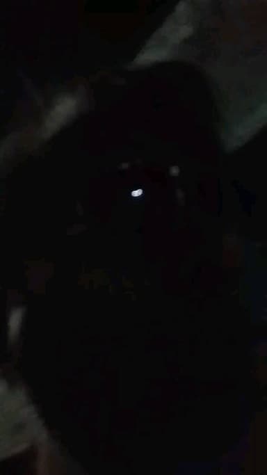 Film inthenighrthirovinaysinghjhabsikmlarambanerjhansiwood