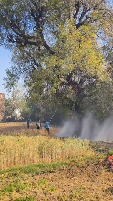 शिवगंज महाराजा मैदान खेत में लगी आग सूचना पहूंचते दमकल कर्मि#breaking