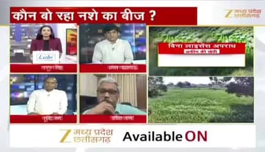 #अफीम के खेती पर सवालों की बौछार
Zee न्यूज़ - 3
#Balrampur #OpiumCultivation #Khajuri #BalrampurOpiumCase #Khajuri #Illegal #Opium_Farmi