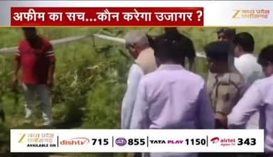 #अफीम के खेती पर सवालों की बौछार
Zee न्यूज़ - 1
#Balrampur #OpiumCultivation #Khajuri #BalrampurOpiumCase #Khajuri #Illegal #Opium_Farmi