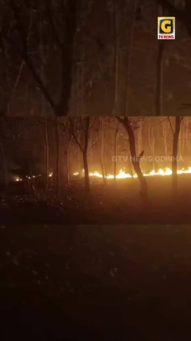 ଦିଗପହଣ୍ଡି କୁସପଡ଼ା ପଞ୍ଚାୟତ ଅନ୍ତର୍ଗତ କେ. ସାମନ୍ତରାପୁର ପାହାଡ଼ ରେ ଲାଗିଛି ନିଆଁ । ବନ ବିଭାଗ ଓ ଅଗ୍ନିଶ୍ରମ ଵିଭାଗ ପହଞ୍ଚି ନିଆଁକୁ କରିଲ...