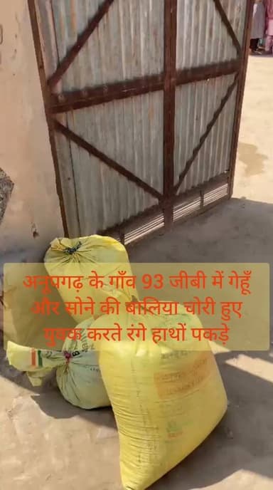 अनूपगढ़ के गाँव 93 जीबी में गेहूँ और सोने की बालिया चोरी हुए युवक करते रंगे हाथों पकड़े
#anupgarh #police