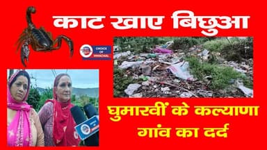 घर में घुसकर काट खाए बिछुआ, घुमारवीं नगर परिषद के कल्याणा गांव का दर्द
https://youtu.be/iFw5hCjh4g0
#bilaspur #Ghumarw...