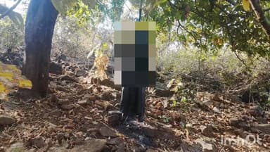 बिछिया: ग्राम झीना में 11 दिनों से लापता बैगा महिला का शव जंगल में महुआ के पेड़ से लटका मिला, क्षेत्र में सनसनी