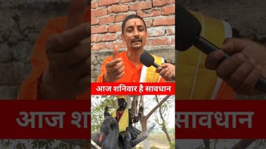 आज शनिवार है शनि का दोष समाप्त होगा !! #viralshorts #panditji #shanivar #trend #shanikadosh #today