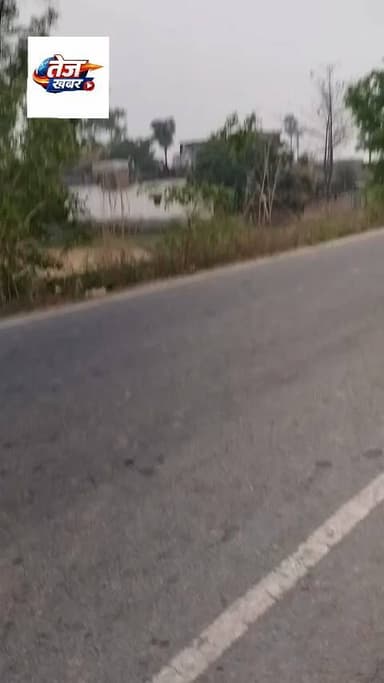 अरवल: पंचायत वालिदाद, ग्राम रुपसागर विधा मे नहर के ऊपर बनी लकडी के पुल जो टूटने के कगार पर है
#mlaमनोजकुमार #tezkhabar