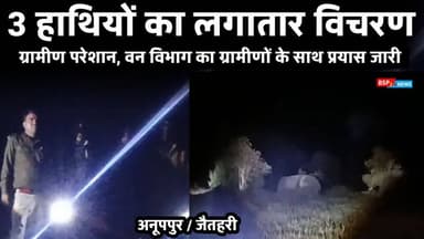 अनूपपुर : 79 दिनों से 3 हाथी का लगातार विचरण, ग्रामीणों के साथ वन विभाग का प्रयास जारी । Bsp24news
#anuppur
#bsp24news...