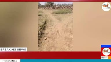 कराहल का श्मशान घाट बदहाल: रास्ता नहीं, टीनशेड और बैठने की भी व्यवस्था नहीं | Chambal TV
#श्योपुर #sheopur #चंबलटीवी ...