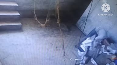 राजपुर: राजपुर दूध डेयरी में चोरी, CCTV में कैद हुई घटना, कर्मचारी पर आरोप