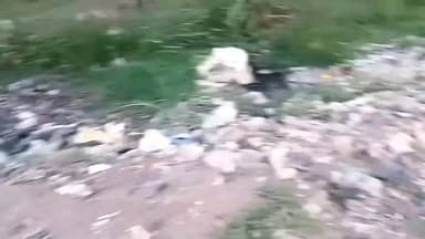 एकंगरसराय: @#एकंगरसराय में कचरा इधर-उधर बिखरे होने से मच्छरों एवं जहरीले कीड़े मकोड़े की संख्या में वृद्धि हो रही है