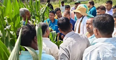 मानसी: मानसी प्रखंड में मक्का अनुसंधान केंद्र में किसानों का एक्सपोजर विजिट, मिली उन्नत खेती की जानकारी