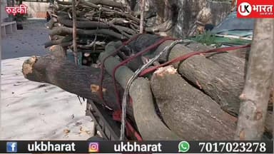लकड़ी माफियाओ पर वन विभाग का शिकंजा आम की लकड़ी से भरे तीन बाइक रेड़े पकड़े.... #ukbharat #uttrakhand #forest