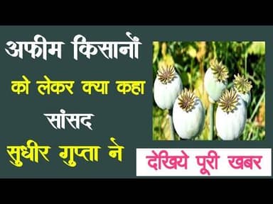 अफीम किसानों को लेकर क्या कहा, सांसद सुधीर गुप्ता ने, देखिये पूरी खबर #afim #kisannews #sudhirgupta