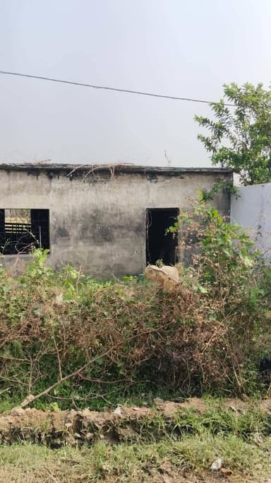 ग्राम पंचायत बम्हनी जनपद पंचायत अकलतरा जिला जांजगीर चांपा छत्तीसगढ़