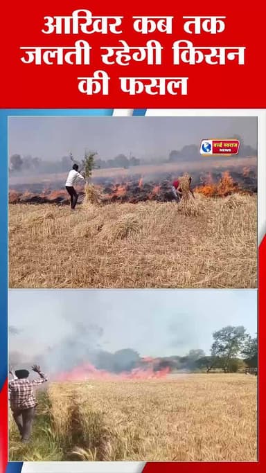 आखिर कब तक जलती रहेगी किसान की फसल इसका आखिर जिम्मेदार कौन ? #viral #trand #latestnews #reels #police #news #वायरल #vira...