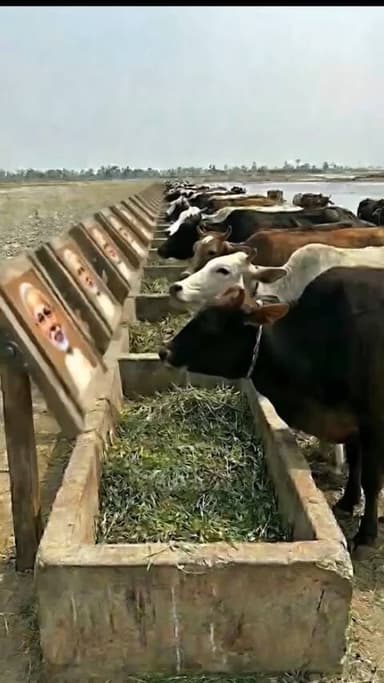 Powerjugaar 3#comedy #funny #power#comedycouple