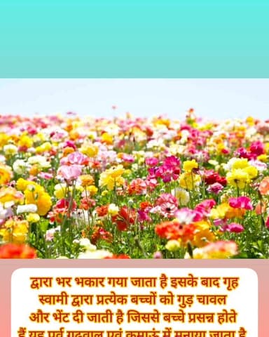 के पी न्यूज़ नेटवर्क की ओर से उत्तराखंड वासियों को फूल देई की हार्दिकशुभकामनाएं