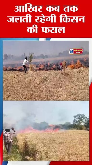 आखिर कब तक जलती रहेगी किसान की फसल इसका आखिर जिम्मेदार कौन ? #viral #trand #latestnews #reels #police #news #वायरल #vira...