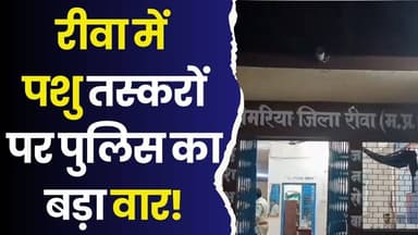 रीवा में 60 लाख का ट्रक जब्त, पशु तस्करी का भंडाफोड़
#Rewa #RewaNews #AnimalSmuggling #RewaPolice #SemariaPolice #Buffa...