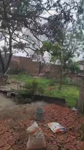 belrayan nigahen me chal rha he tufan #belrayan kheri