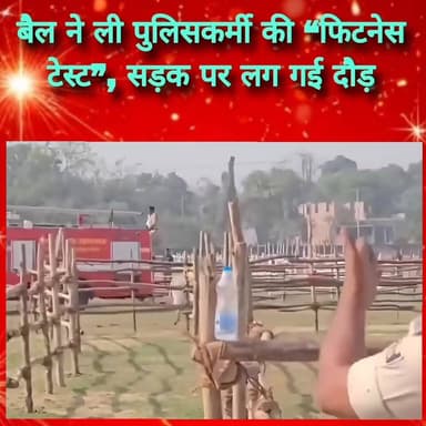 #बैल ने ली पुलिसकर्मी की “फिटनेस टेस्ट”, सड़क पर लग गई दौड़-----
जब एक बैल ने मानो पुलिसकर्मी की शारीरिक फिटनेस की परी...