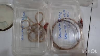 विदिशा नगर: महिला हत्याकांड का खुलासा, आरोपी गिरफ्तार; ₹5 लाख के जेवर बरामद