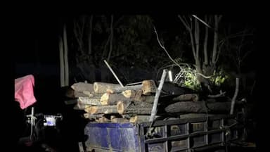 ବିଶୋଇ: ନିଶ୍ଚିନ୍ତା ପଞ୍ଚାୟତ ଶିରା ସାହି ଗାଁ ନିକଟରୁ ଚୋରା କାଠ ବୈଝେଇ ଟ୍ରାକ୍ଟର ଜବତ କଲେ ଗ୍ରାମବାସୀ