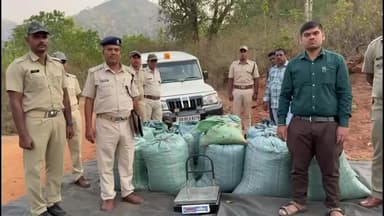 ପାରଳାଖେମୁଣ୍ଡି: ଗଜପତି ଅଡବା ଥାନା ଅଞ୍ଚଳରୁ ବିପୁଳ ପରିମାଣ ର ଗଞ୍ଜେଇ ଜବତ ସୂଚନା