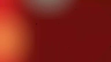 एलपीजी सिलेंडर महंगाई और किल्लत के विरोध में नोहर में कांग्रेस का प्रदर्शन, प्रधानमंत्री का पुतला फूंका
#नोहर #एलपीजीसिल...