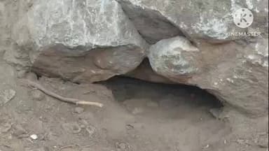 బాల్కొండ: ముచ్కూర్ గ్రామంలో ఇటీవల బయటపడ్డ వరాహ స్వామి గిరి ప్రదక్షిణ ప్రారంభం