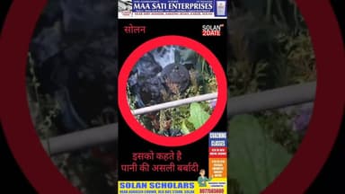 कब जागोगे #Mc #solan #iph