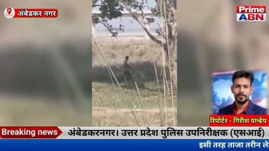 कमहरिया घाट पर नीलगाय की हत्या, एयर गन या राइफल पर छिड़ी बड़ी बहस #ambedkar_nagar