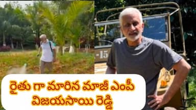 రైతు గా మారిన విజయ సాయి రెడ్డి