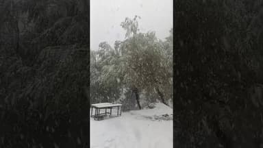 चंबा के जोत क्षेत्र में बर्फबारी का दौर जारी #viral #viralvideo #follow #snowfall #news #travel