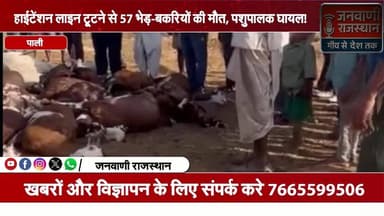 पाली में हाईटेंशन लाइन टूटने से 57 भेड़-बकरियों की मौत, पशुपालक घायल #rajasthan #Nagour #Pali #Localnews #Jodhpur @फ़ॉलो...