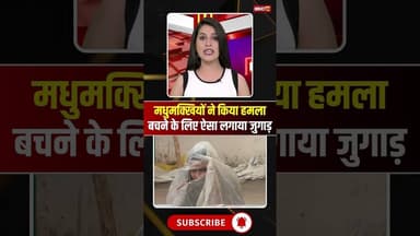 Chhattisgarh: मधुमक्खियों ने किया हमला, बचने के लिए ऐसा लगाया जुगाड़ #cgnews #chhattisgarh #beeattack