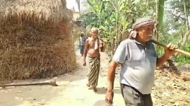 ନିମାପଡା: ବିନା ଜଳ ବିନା ବିନା ସାରରେ ଆଳୁ ଚାଷ କରି ଏବେ ଚର୍ଚ୍ଚାରେ ନିମାପଡା ଚାଷୀ