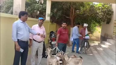 चेवाड़ा: चेवाड़ा प्रखंड क्षेत्र में किसानों की आय बढ़ाने के लिए कृषि विभाग द्वारा बकरी पालन