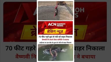 कुआं में गिरे नंदी की बचाई जान... पर कैसे...? #latestnews #ख़बर1इंडिया #breakingnew