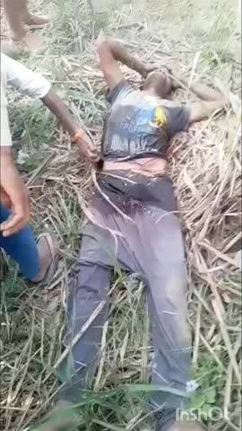 गोला गोकरणनाथ: नंदलालपुर गांव में खेत में काम कर रहे युवक पर बाघ ने किया हमला, गंभीर रूप से घायल युवक की इलाज के दौरान हुई मौत