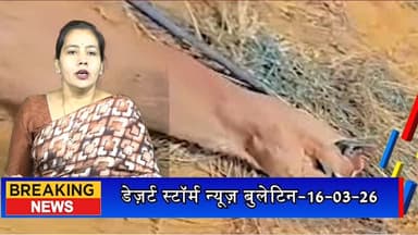 #desertstormnews #jaisalmernews #desertstormbulletin जैसलमेर में दुर्लभ कैरेकल को जलाकर मारने का मामला, 3 आरोपी गिरफ्तार