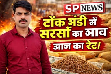 🔥 सरसों के भाव में बड़ी हलचल! टोंक मंडी में आज का ताजा रेट
#SarsoBhav
#TonkMandi
#MandiBhav
#SarsoRate
#KisanNews
#Raja...