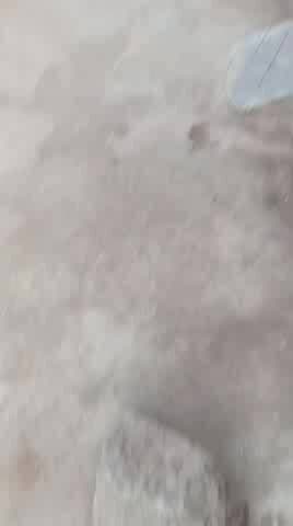 Beohari Thana prabhari dwara khuleaam Ganja taskari Ti Sahab karva rahe hain jila shehdol antargat khuleaam NASA ka pada