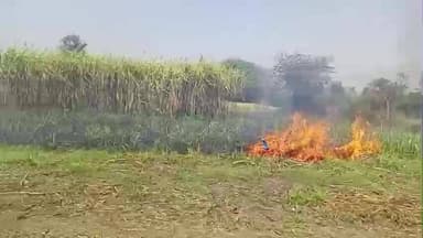 हमीरपुर के राठ में आग का पृचन्ड