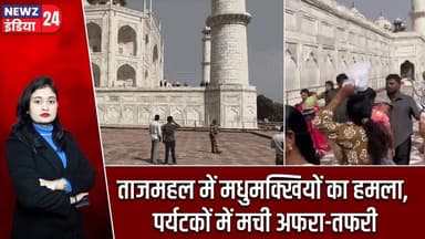 ताजमहल में मधुमक्खियों का हमला, पर्यटकों में मची अफरा-तफरी | #tajmahal | Agra | Bee Attack |