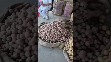 आज का आलू का भाव चकरपुर मंडी कानपुर से #aalukabhav