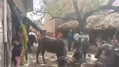 महोली: देवकली गांव में संदिग्ध अवस्था में खेत में मिला महिला का शव, हत्या के आरोपी ने भी फांसी लगाकर की आत्महत्या