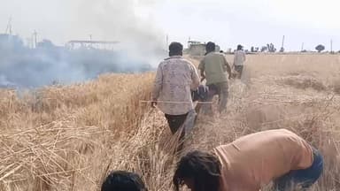 किशनगंज: टूटी बिजली लाइन से गेहूं के खेत में लगी आग, हार्वेस्टर के हेल्पर झुलसे