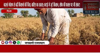 बदलते मौसम से बढ़ी किसानों की चिंता, बारिश का खतरा; कटाई में जुटे किसान, सौंफ की फसल पर भी संकट #WeatherChange #Nagour #...