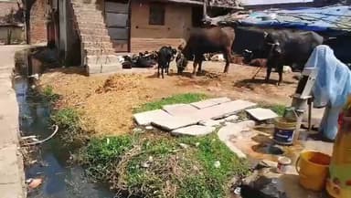 मनगवां नगर परिषद में अव्यवस्था चरम सीमा पर!
भाजपा शासन में पार्षदों की अनदेखी, वार्डों में गंदगी का अंबार — बीमारी फैलने